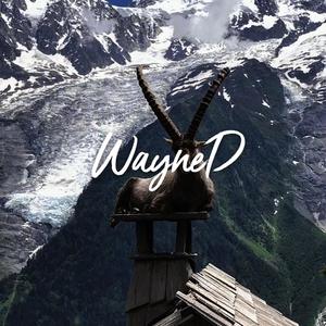 “极地”boombap type beat bpm90