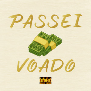 PASSEI VOADO