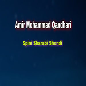 La Washko Daki Stargi