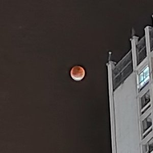 谷中幽，学晨_变调变速