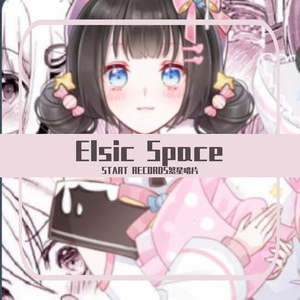 Elsic Space
