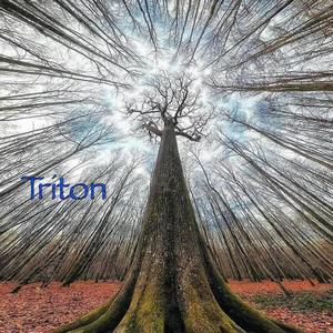 Triton