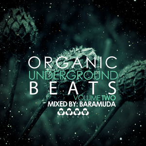 Reika (DJ Synchro Remix)