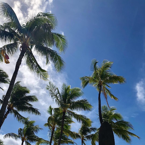 Ava Max-Salt (Beloe Cloud Remix)（SKGYR / VaSka remix）