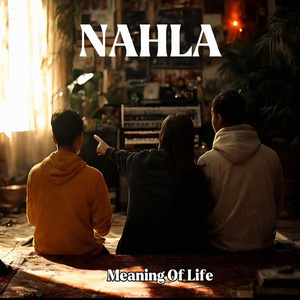 Meaning of life