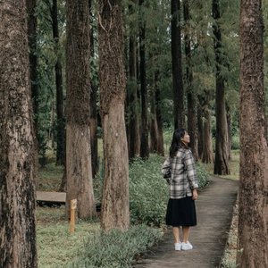 断点翻唱