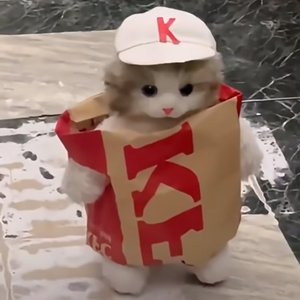 海的那边还是海吗（马林巴琴）