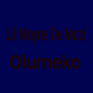Olumeko
