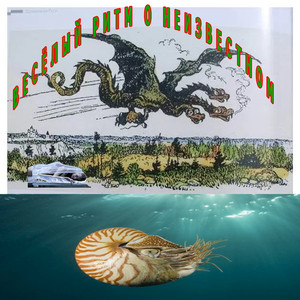 Мудрость глубин