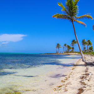 Rebelde por Natureza