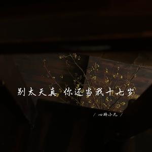 别太天真 你还当我十七岁