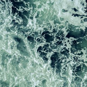 逐海