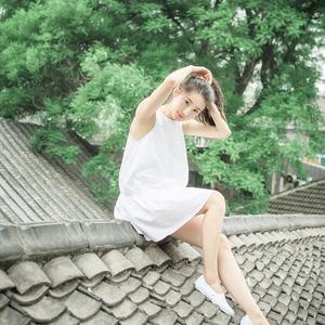 爱尔兰画眉（蓝调口琴）