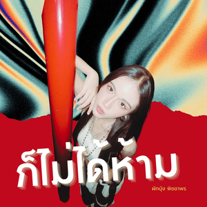 ก็ไม่ได้ห้าม