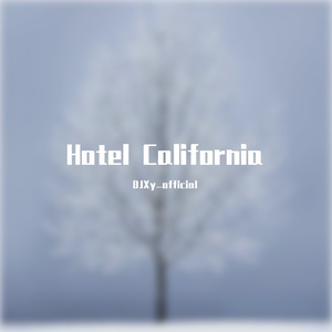 Hotel California（DJXYremix）2020