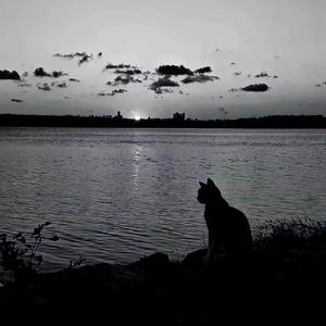 马(cover 福禄寿FloruitShow)