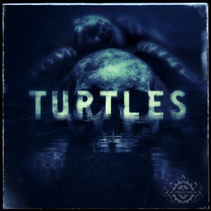 Turtles