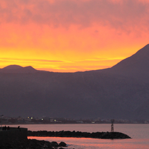 My Least Favorite Life