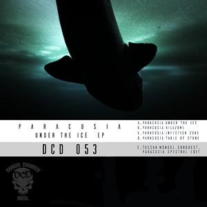 Mongol Conquest (Paracusia Remix)