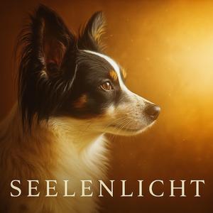 Seelenlicht
