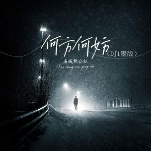 何方何妨 (DJ1墨版伴奏)