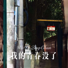 我多想再多陪你一场