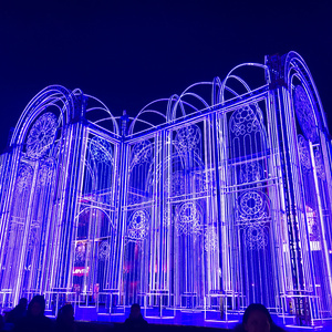 孤鸟的歌（Cover 马頔）