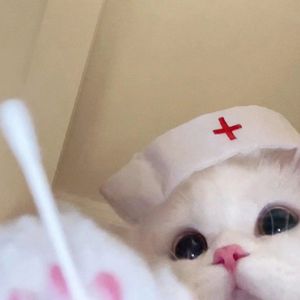 天上知我