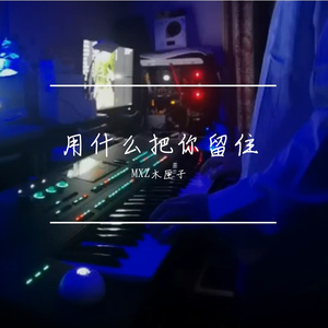 我用什么把你留住 电子琴独奏版