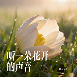 听一朵花开的声音