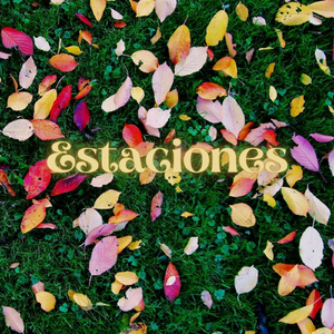 Reflexiones de Pájaros