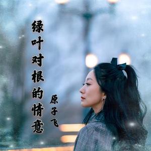 绿叶对根的情意 (Cover 毛阿敏)