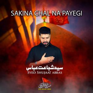 Sakina Chal Na Payegi (feat. Syed Shujat Abbas)
