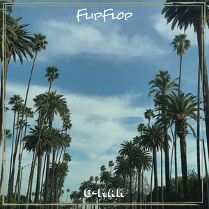 FlipFlop
