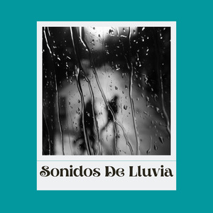 Pluviophile's Dreams