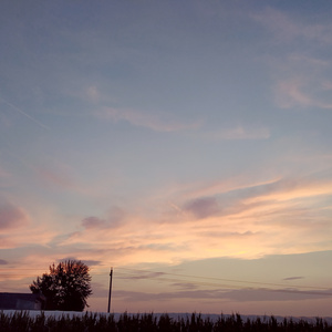 D'Angelo-惬意的午后（史大善人 remix）