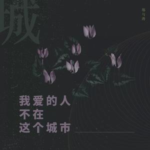 我爱的人不在这个城市