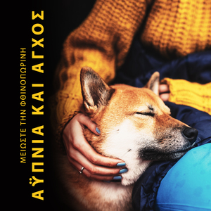 Ψυχική χαλάρωση