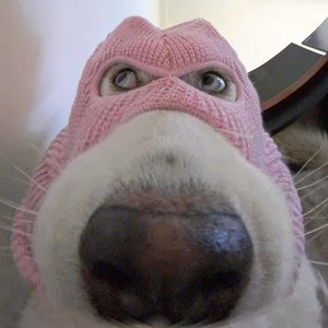 我李逍遥可以对天发誓