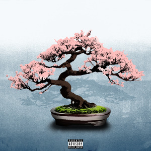 BONZAI
