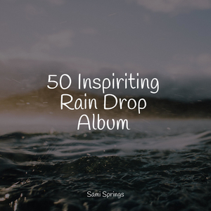 Rain, Drain, Cement, Lawn