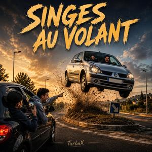 Singes Au Volant