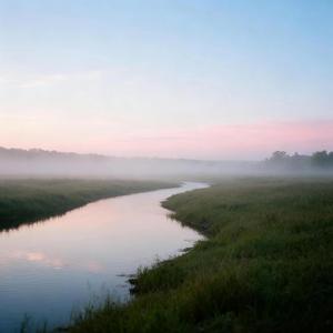 Soft Light for Early Work Energy