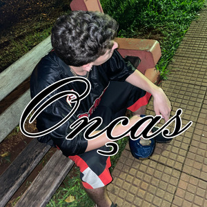 Onças