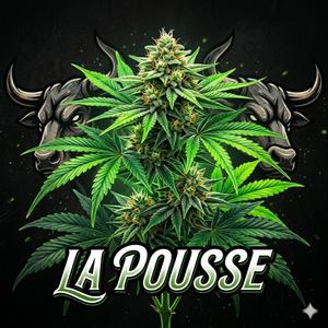 La pousse