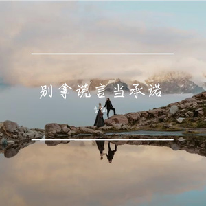 别拿谎言当承诺