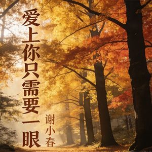 爱上你只需要一眼