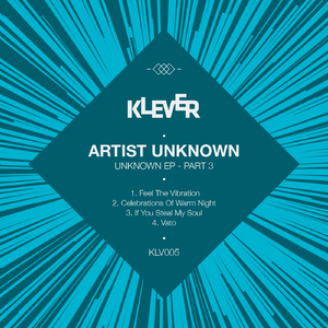 Celebrations Of Warm Night (Original Mix)