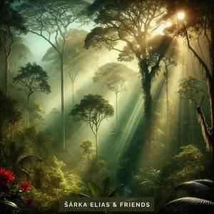 Hawe Dau Tibuya (feat. Petr Blazek, Vivek Philip & SinaSiav)