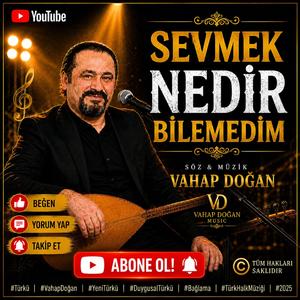 Sevmek Nedir Bilemedim